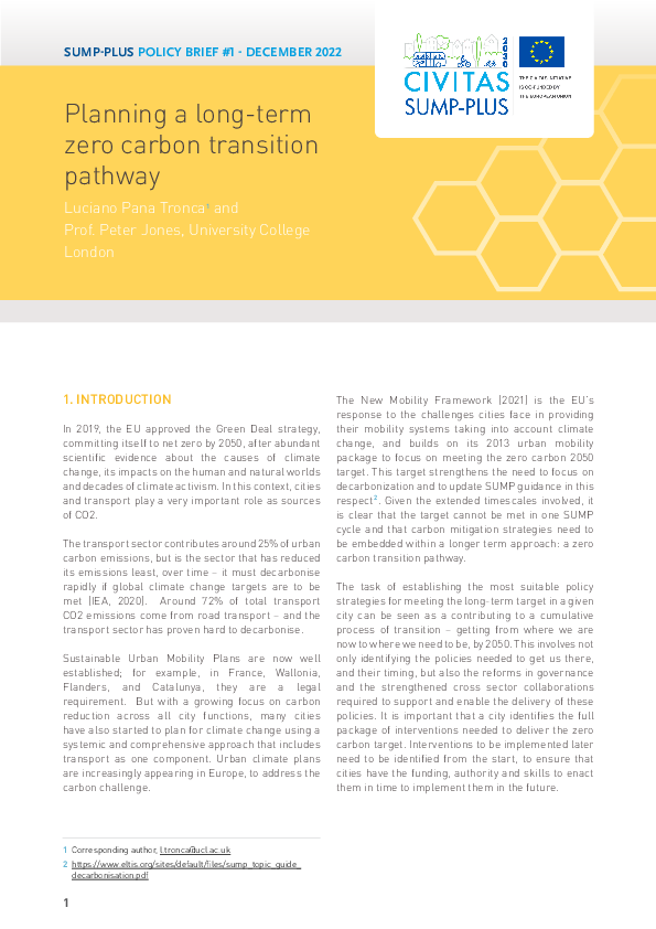 Policy brief 1: Planning a long-term zero carbon transition pathway