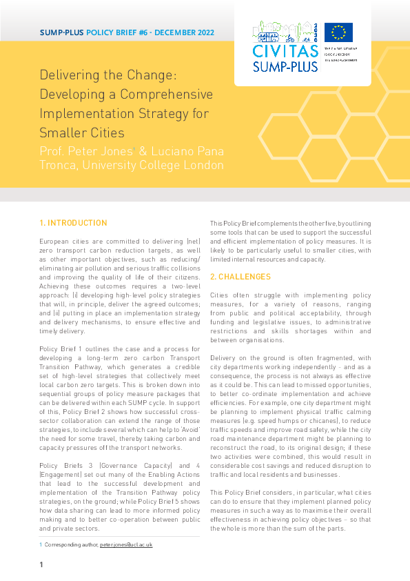 Policy brief 6: Delivering the Change: Developing a Comprehensive Implementation Strategy for Smaller Cities